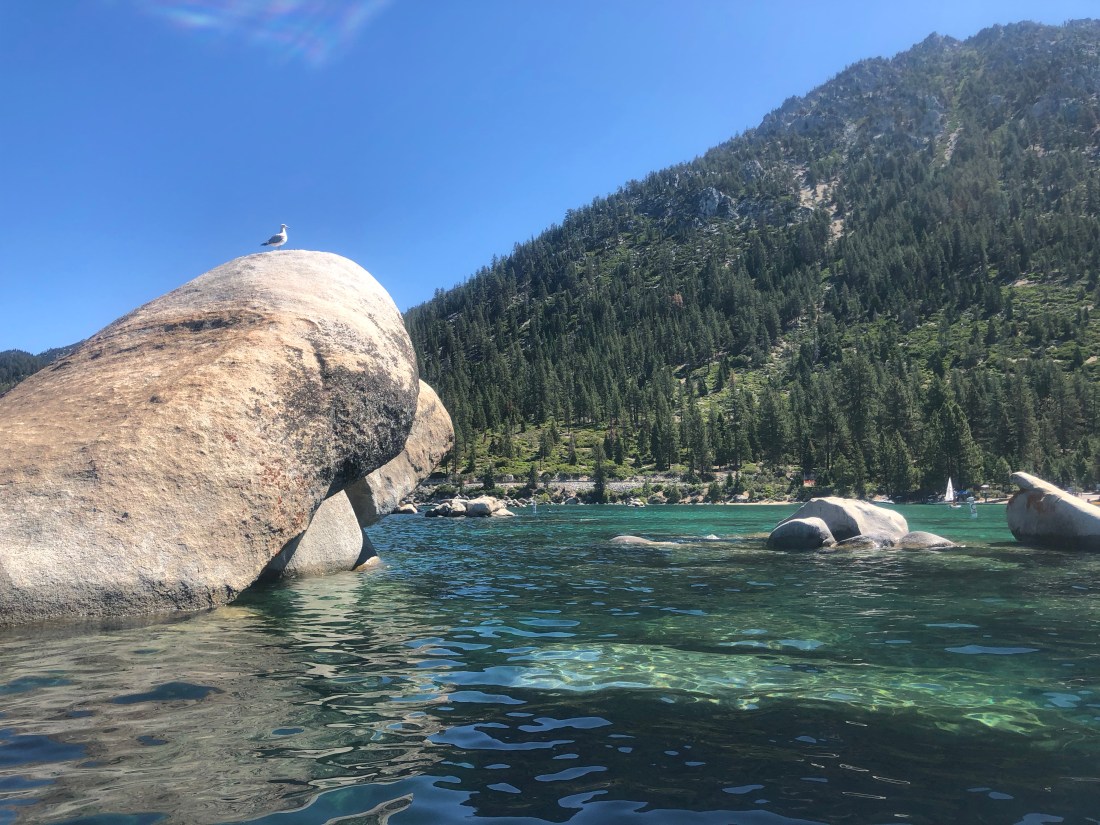 9D962C4B-C4E7-4F32-99F5-8C57B7C42289