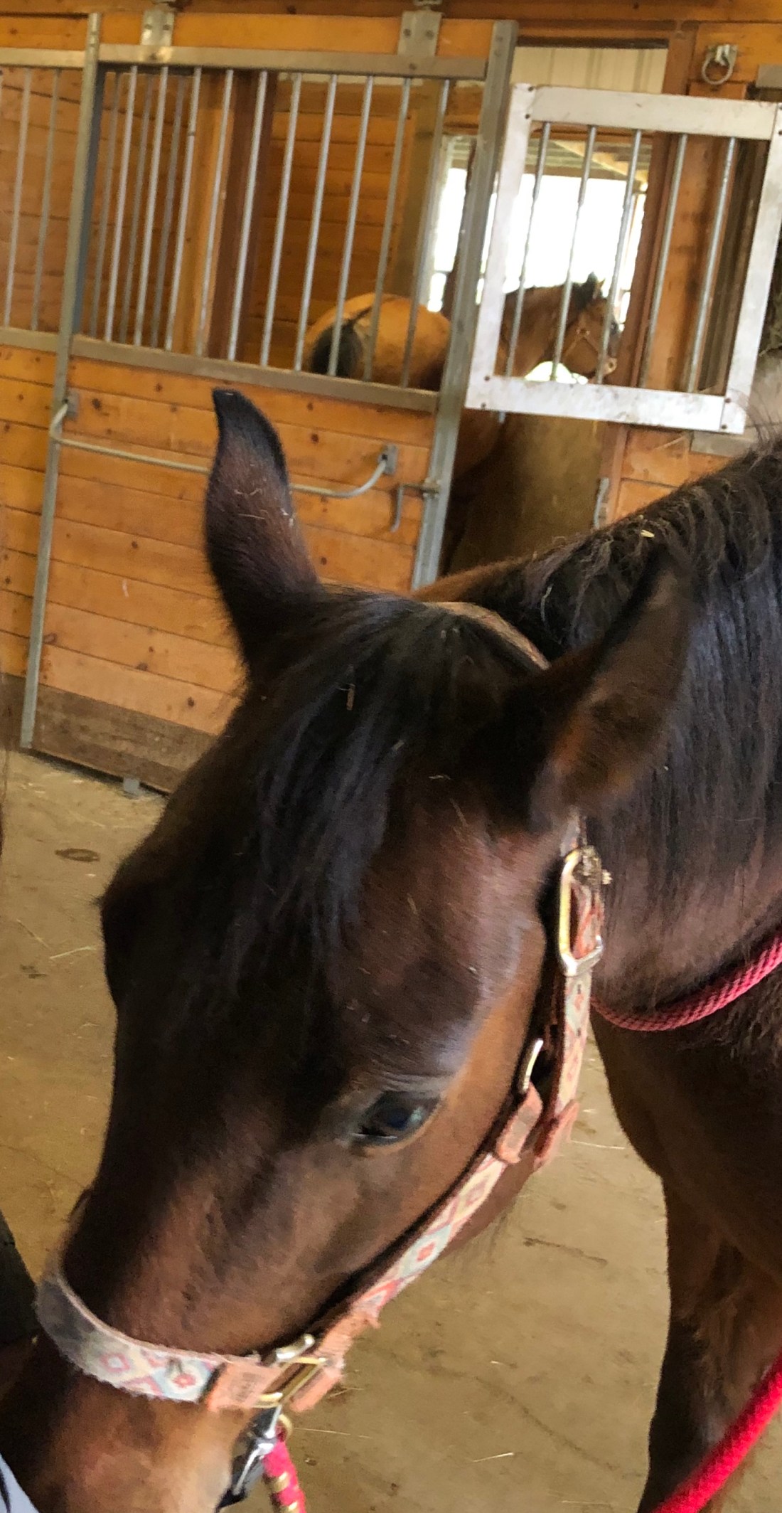 B916AF71-DEB8-47EA-8D2A-6F1FBF8009AF