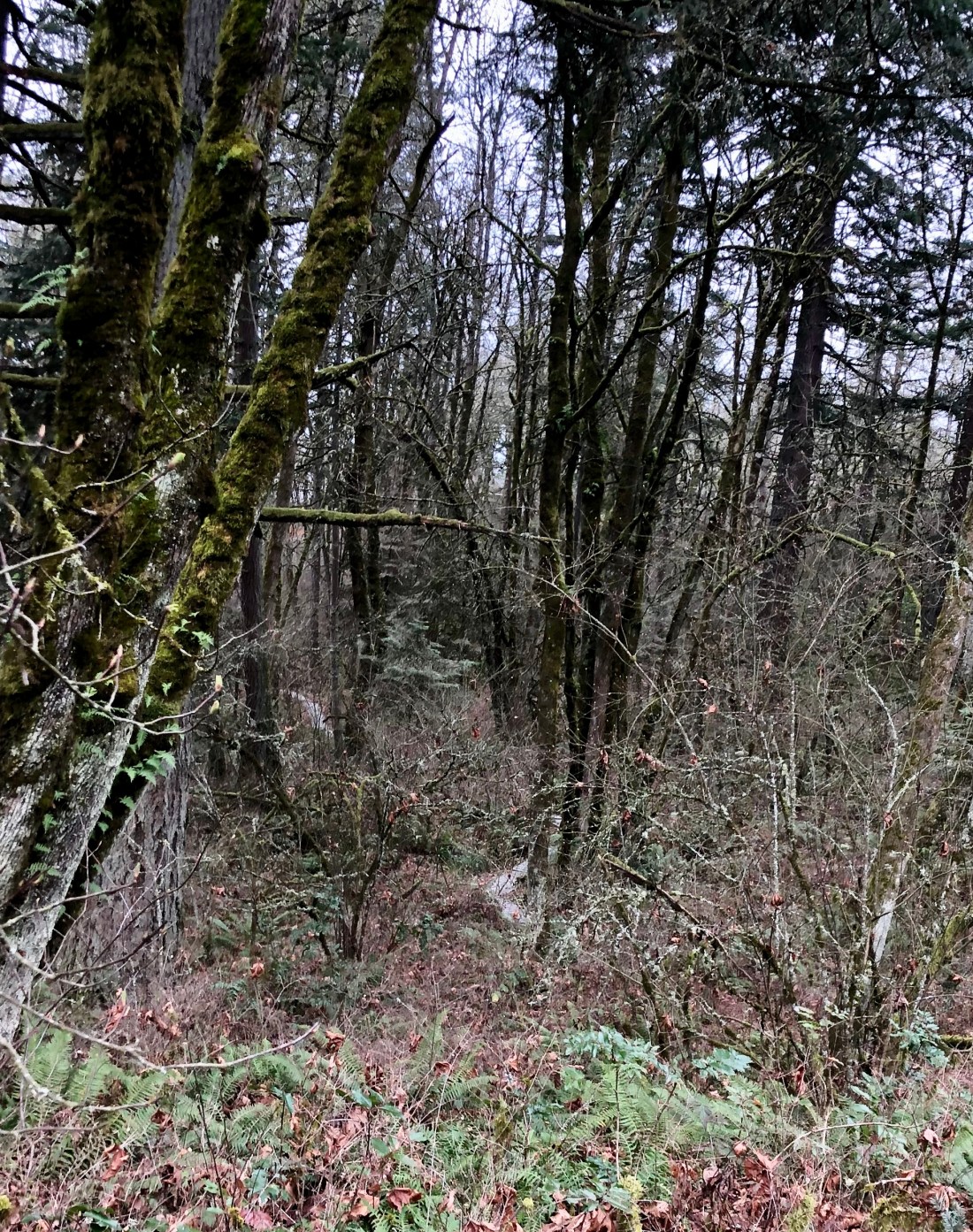 3CCC72A0-239F-49C0-837B-59954C678F9C