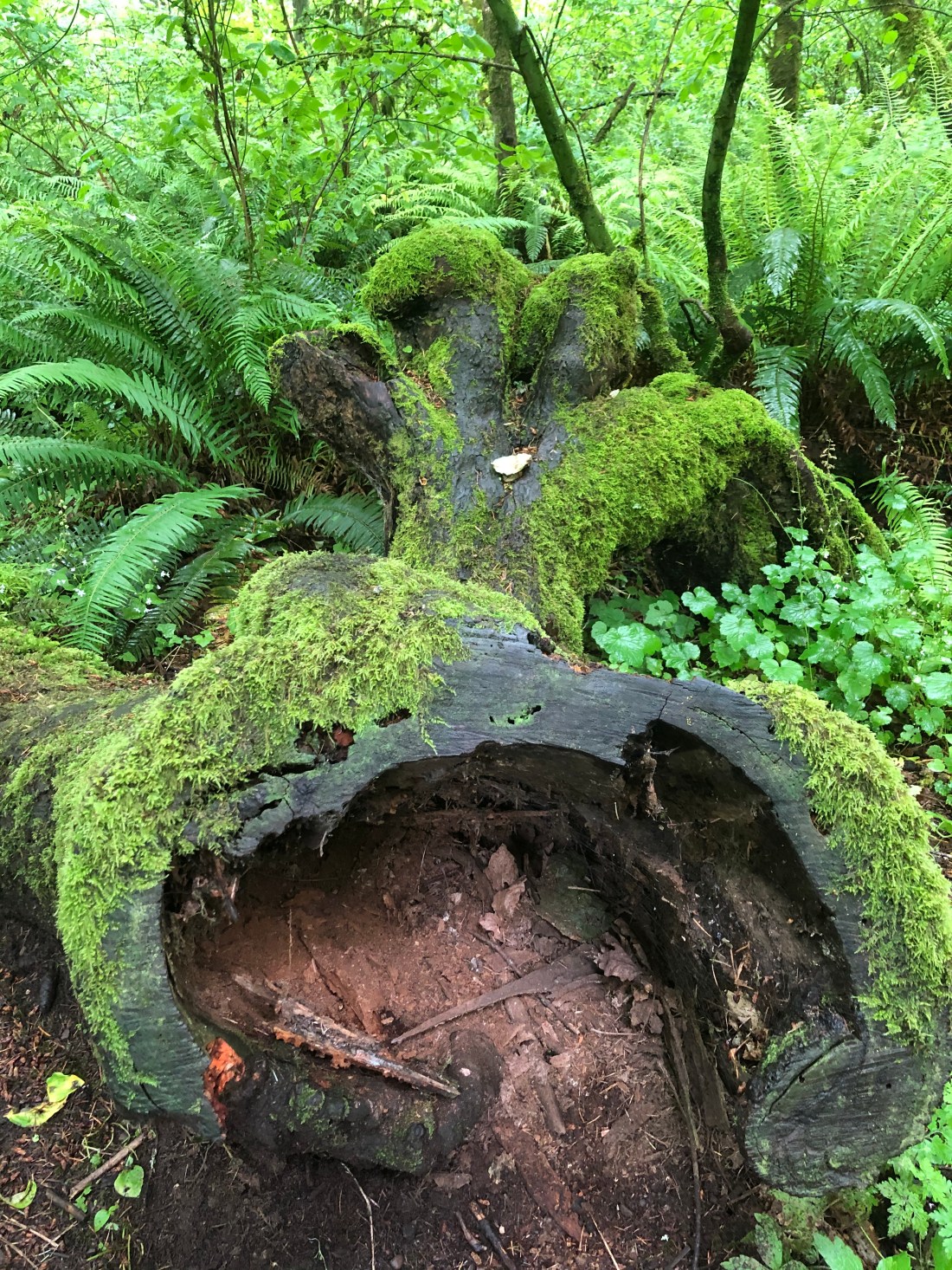 B52635CA-2434-47D1-8353-B984E1E97951