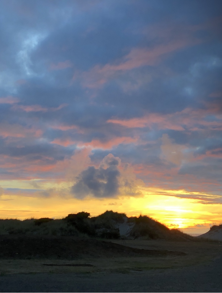 FD1F108D-7F28-45C1-BB6C-B53C0765A7D8